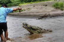 Jungle Crocodile Safari & Jaco Beach from San Jose