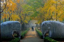 Nanjing Private English Tour Guide Service