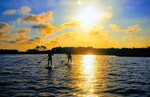 2-Hour Paddleboard Rental in Rehoboth Bay