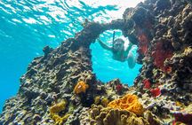E-bike West Coast Snorkeling Tour