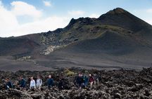 Guided hiking in the Natural Park of Los Volcanes.