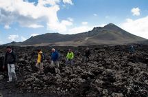 Guided hiking in the Natural Park of Los Volcanes.