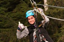 Rainforest Canopy & Zipline Adventure in Ketchikan, AK
