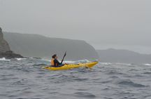 Kayak & Snorkel: private tour in Yanbaru, north Okinawa