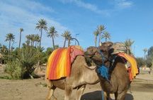  Majorel Marvels: Garden Excursion with Camel Ride in Palmeraie
