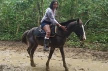 Small-Group Half-Day Horseback Riding Tour from Punta Cana