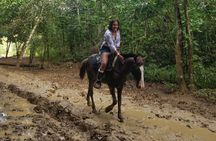 Small-Group Half-Day Horseback Riding Tour from Punta Cana