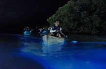 Bioluminescent Kayak Tour by THE #1 Rated Company in Cocoa Beach