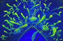 Bioluminescent Kayak Tour by THE #1 Rated Company in Cocoa Beach