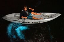 Bioluminescent Kayak Tour by THE #1 Rated Company in Cocoa Beach