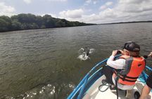 Dolphin Watching in Puerto El Morro from Guayaquil
