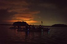 Bioluminescent Kayak Tour by THE #1 Rated Company in Cocoa Beach