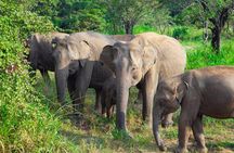 Hurulu Eco Park Private Safari with Naturalist