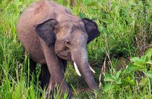 Hurulu Eco Park Private Safari with Naturalist
