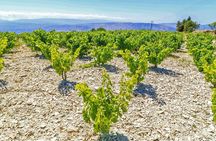 Local Wineries Tour with Wine Testing from Paphos