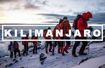 Kilimanjaro day hike. 