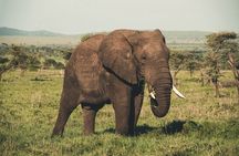 Wasgamuwa National Park Private Safari