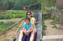 All-inclusive Day Tour: Mutianyu Great Wall & Beijing Panda Zoo with Local Lunch
