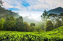 Nuwara Eliya Highlands from Kandy
