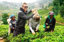 Nuwara Eliya Highlands from Kandy