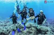 Try Scuba in Crete – Free Certification & Photos (Beginners)