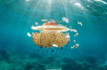 Try Scuba in Crete – Free Certification & Photos (Beginners)