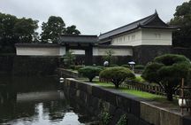 Cherry blossom tour in Tokyo 