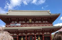 Cherry blossom tour in Tokyo 
