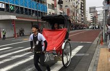 Tokyo Private Customized Walking Tour (Option Car Tour Available)