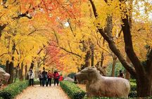 Private Amazing Nanjing City Day Tour in Your Way
