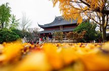 All Inclusive Amazing Nanjing City Highlights Private Day Tour