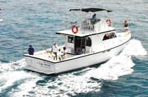Cancun fishing charter if you don't fish you don't pay 46ft yacht 12pax 25P14