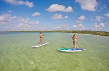 Lagoon Paddleboarding Tour in Tulum