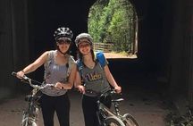 Private Mickelson Trail Bicycling Tour