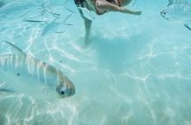 Snorkeling in Huraa