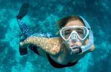 Snorkeling in Dhiffushi