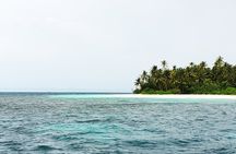 Dolphin Cruise in Dhiffushi