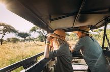 2-Day Tanzania Mid Range Private Safari