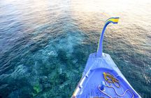 Dolphin Cruise in Dhiffushi