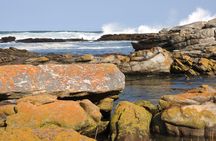 Port Elizabeth Wildside Scenic Drive - FD17