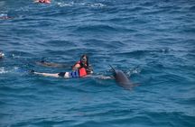Dolphin House and Banana Boat Fun from Hurghada