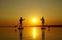Stand Up Paddling Adventure