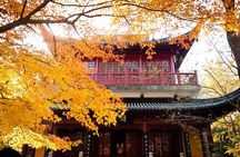 Nanjing Purple Mountain Private Tour with Tangshan Hot Spring Spa Experience