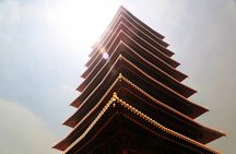 Private Day Tour to Niushoushan Cultural Park in Nanjing 