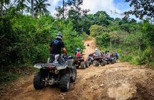 Samui ATV Quad Bike 1 Hour Tour