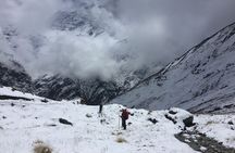 Annapurna Base Camp Trek from Pokhara