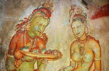  Sigiriya and Dambulla Private Full-Day Guided Tour 