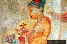  Sigiriya and Dambulla Private Full-Day Guided Tour 