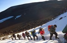 7-Day Lemosho Route Hiking in Kilimanjaro