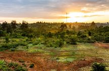 The Best Of Nanyuki Walking Tour